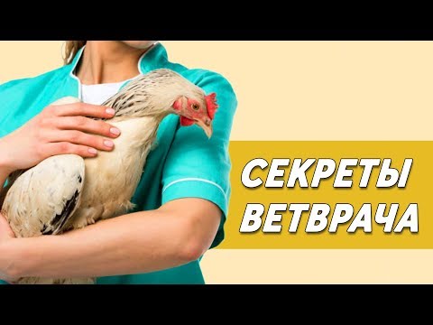 Video: Спирохетоз деген эмнени билдирет?