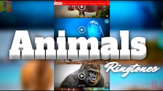 Animals Ringtones App | 160+ HD Animal Sounds - YouTube