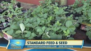 Standard Feed and Seed Now Delivers FCL Mar 20