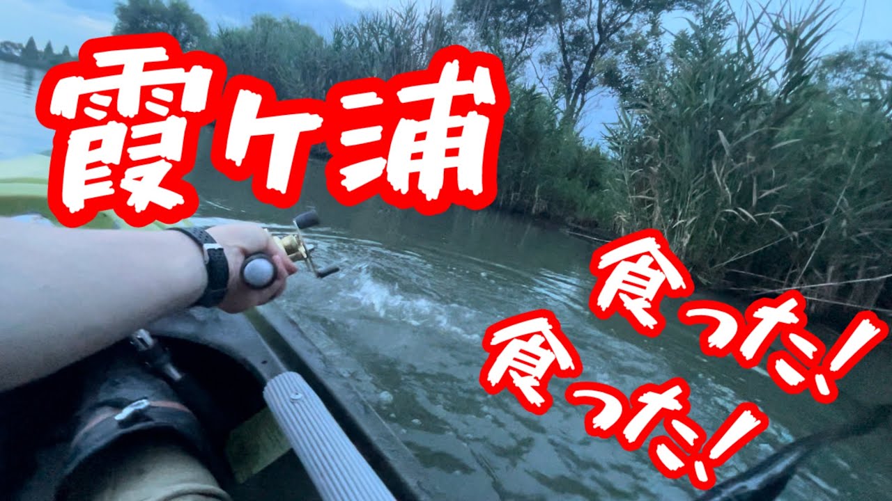 #トップウォーター#カヤックフィッシング #霞ヶ浦バス釣り#bassfishing #ヘドン #fishing