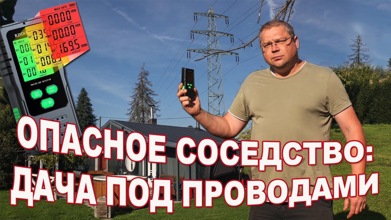 Вредна ли дача под ЛЭП ? Сезон грецкого ореха. Баклажаны от Эрики.