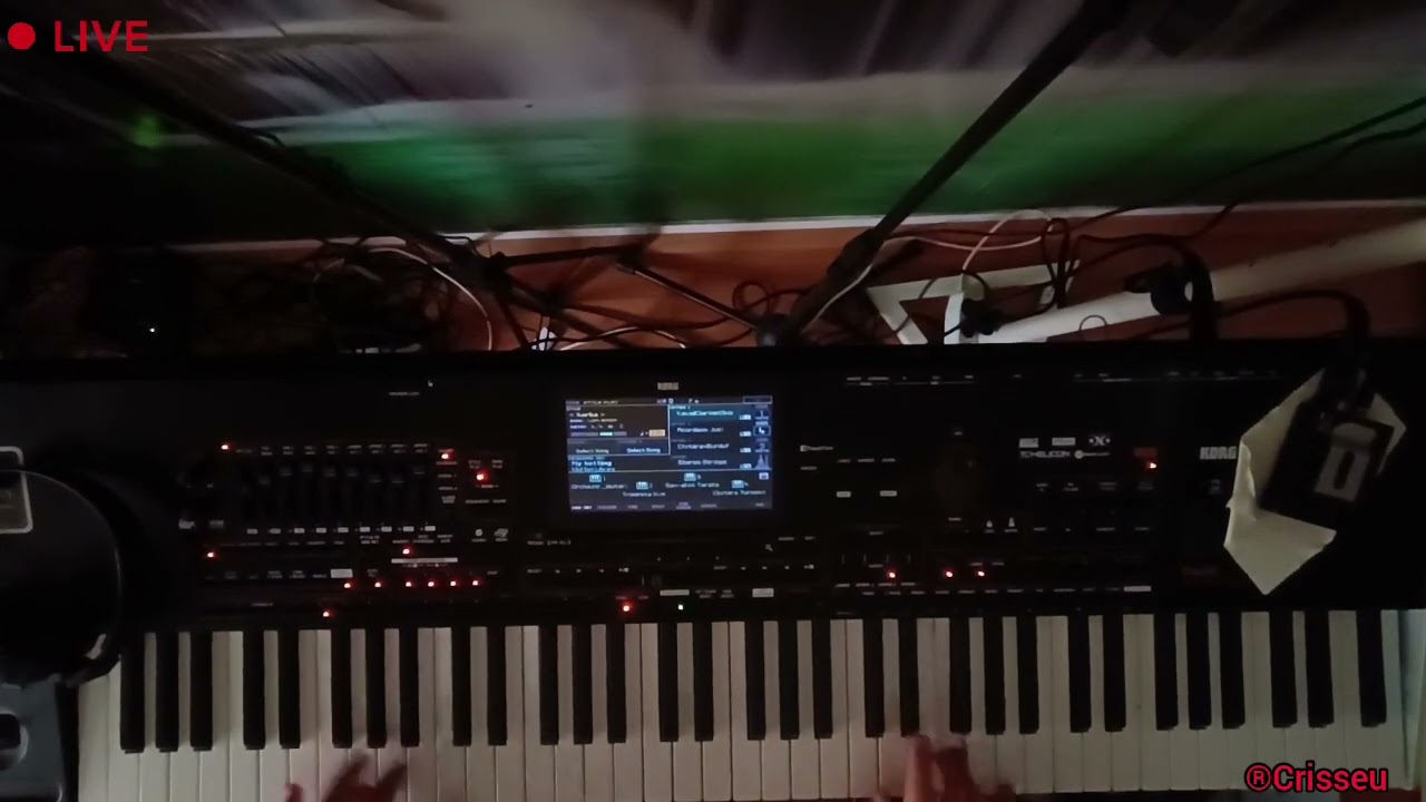 #V590 🎹🪗🎺🚦Colaj de sârbe moldovenești de nuntă !