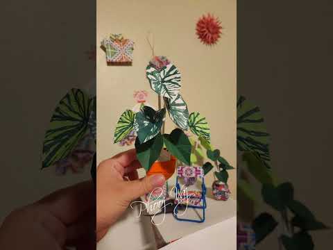 Tais Ntawv Origami Elephant Ear Plant #craft #art #origami #plants #hmong #hmoob
