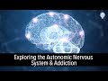 Exploring the Autonomic Nervous System & Addiction with Jan Winhall