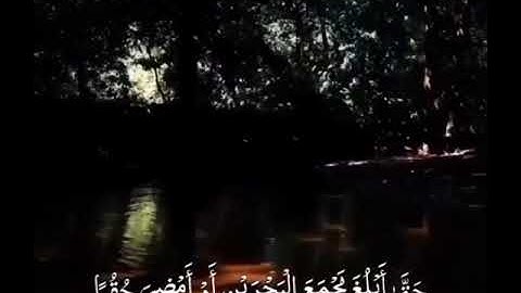 سورة الكهف نور ما بين الجمعتين || يوم الجمعة || حالات واتس اب ♥️🕊
