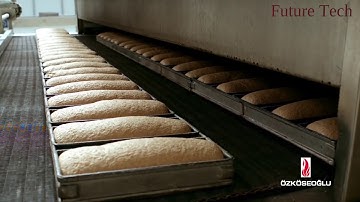 Bread processing Factory  Automated production line with high technology machines