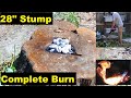 Easy Stump Removal - Complete Burn