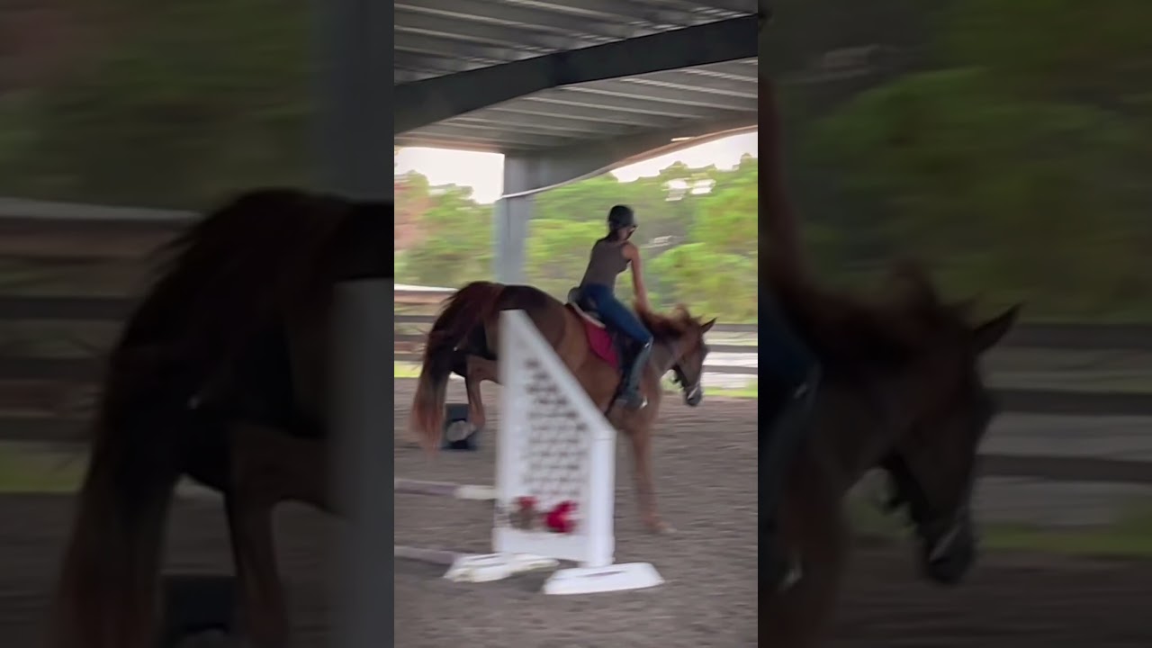 She’s learning so fast!!