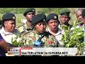 Meru: Shangwe na nderemo baada chifu na mwanawe kupanda zaidi ya miche 3,000