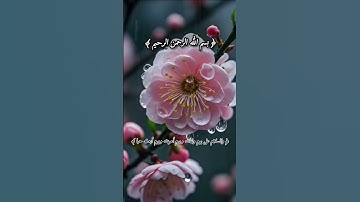 #قرآن كريم #القارئ سعود الفايز #الشيخ سعود الفايز #سعود الفايز #اكسبلور