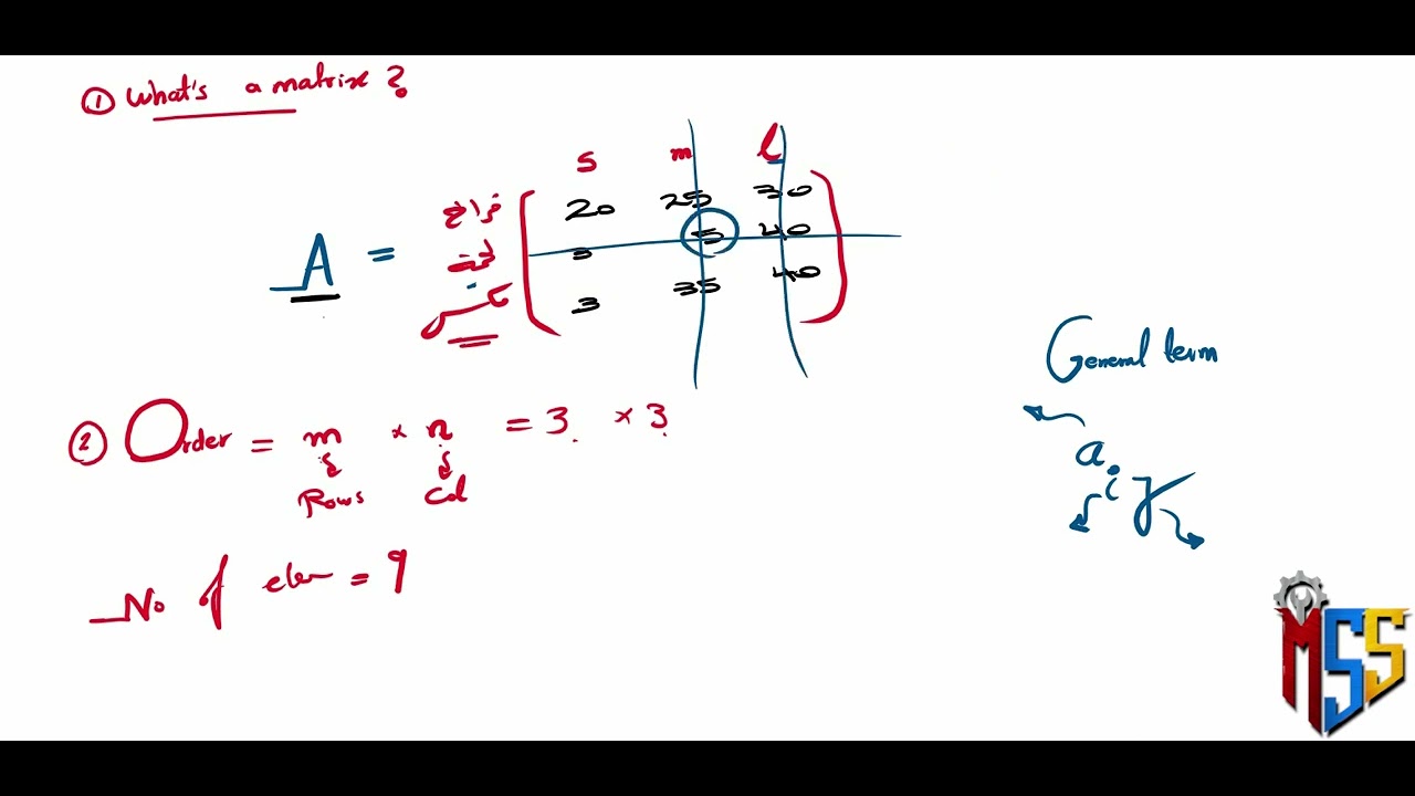 Organizing data in matrices PT1 أولي ثانوي بالعربي