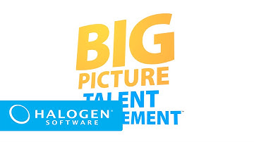 Big Picture Talent Management