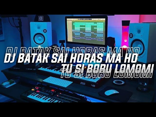 DJ BATAK SAI HORAS MAHO TU SI BORU LOMOMI || DJ BATAK TERBARU FULL BASS class=