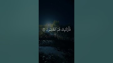 قل صدق الله فاتبعوا ملة إبراهيم حنيفا | تلاوة مؤثرة للسيد سعيد