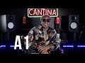 A1 "The Hollywood Grind" Story