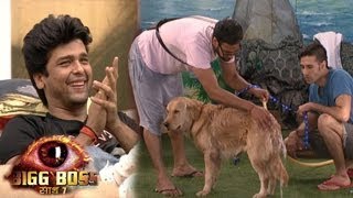 Bigg Boss 7 21st October 2013 Day 36 FULL EPISODE -- EXCLUSIVE ONLINE VIDEO