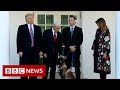 New video by BBC News on YouTube