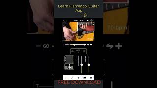 LEARN FLAMENCO GUITAR