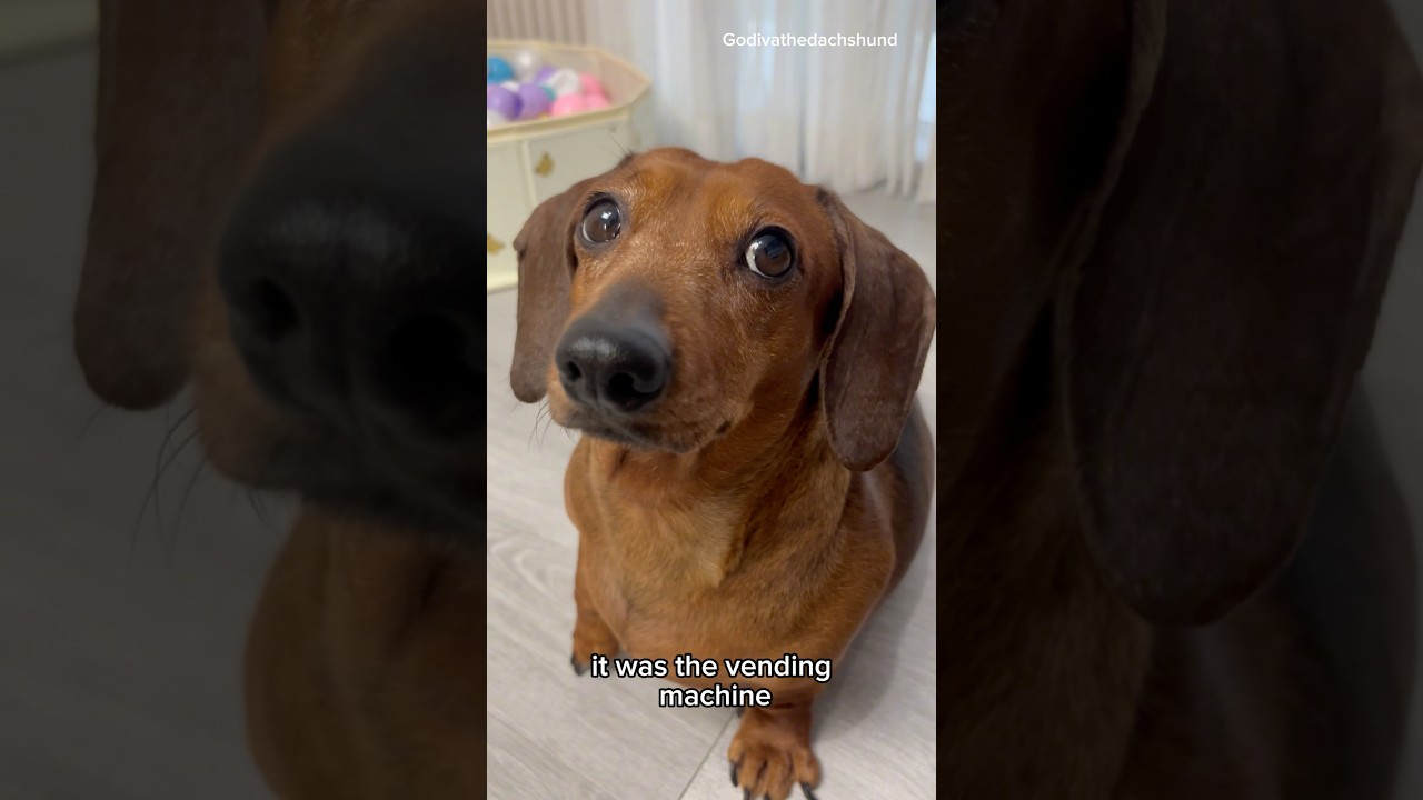 Сегодня я попробовала что-то новое 