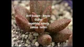ARİF SUSAM  laleler güller taverna .