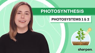 Photosystem 1 vs Photosystem 2 | Photosynthesis Biology 101 screenshot 3