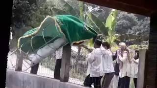KERANDA BERISI JENAZAH INI TIBA-TIBA TERBANG JATUH KE KOLAM !!