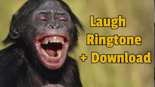 Laugh Ringtone   Download