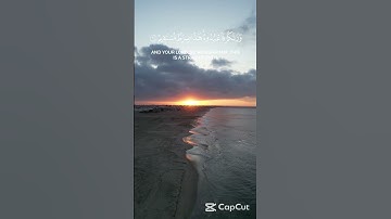 فاختلف الأحزاب من بينهم |سورة الزخرف#قران_كريم  #اكسبلور #اهميه