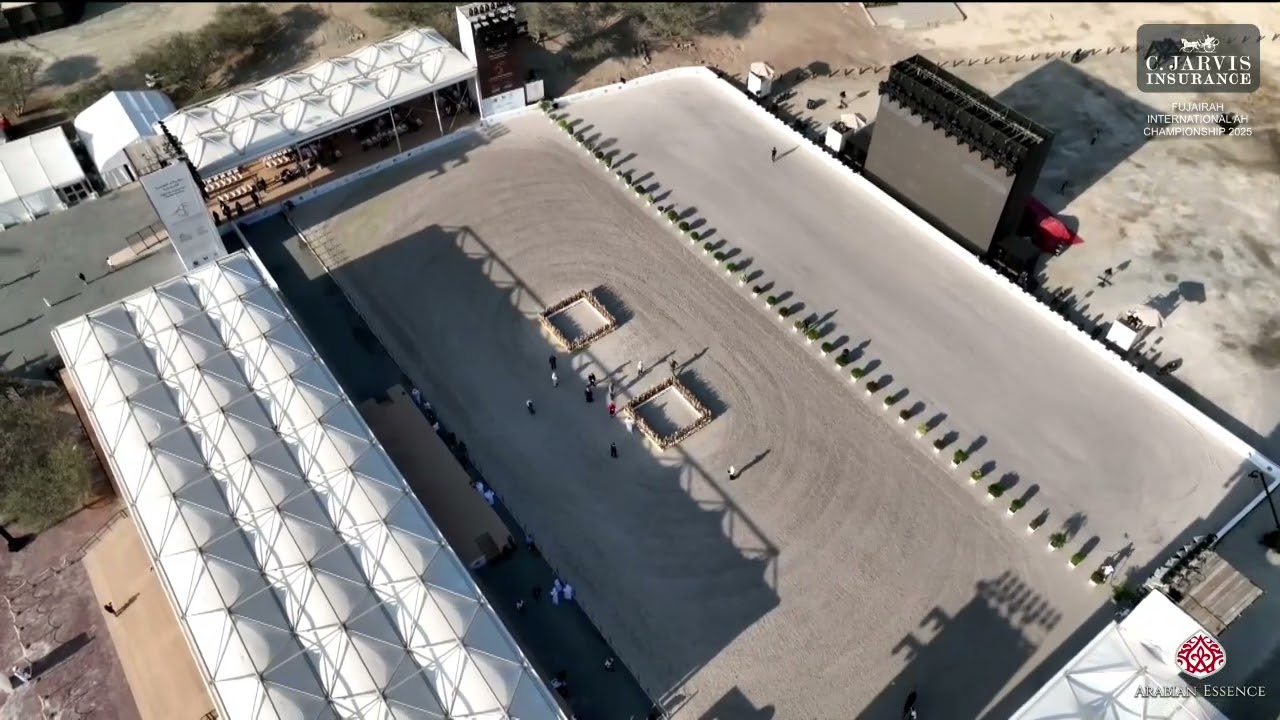 N 6 SAMA ALMEYDAN   Fujairah International AH Championship 2025   Yearling Fillies   Section A Class