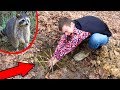 Primitive Survival Trapping! *DO NOT TRY AT HOME*