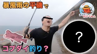 平磯 土砂降り嵐のコブダイゲーム タンコブゲーム Youtube