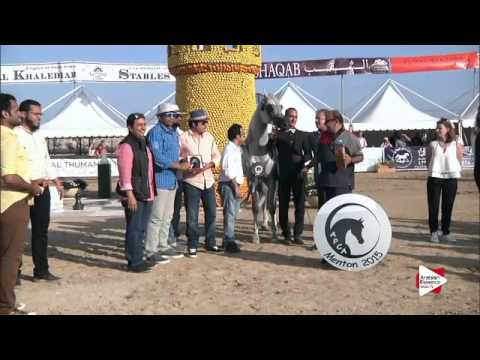 2   137     2015     16