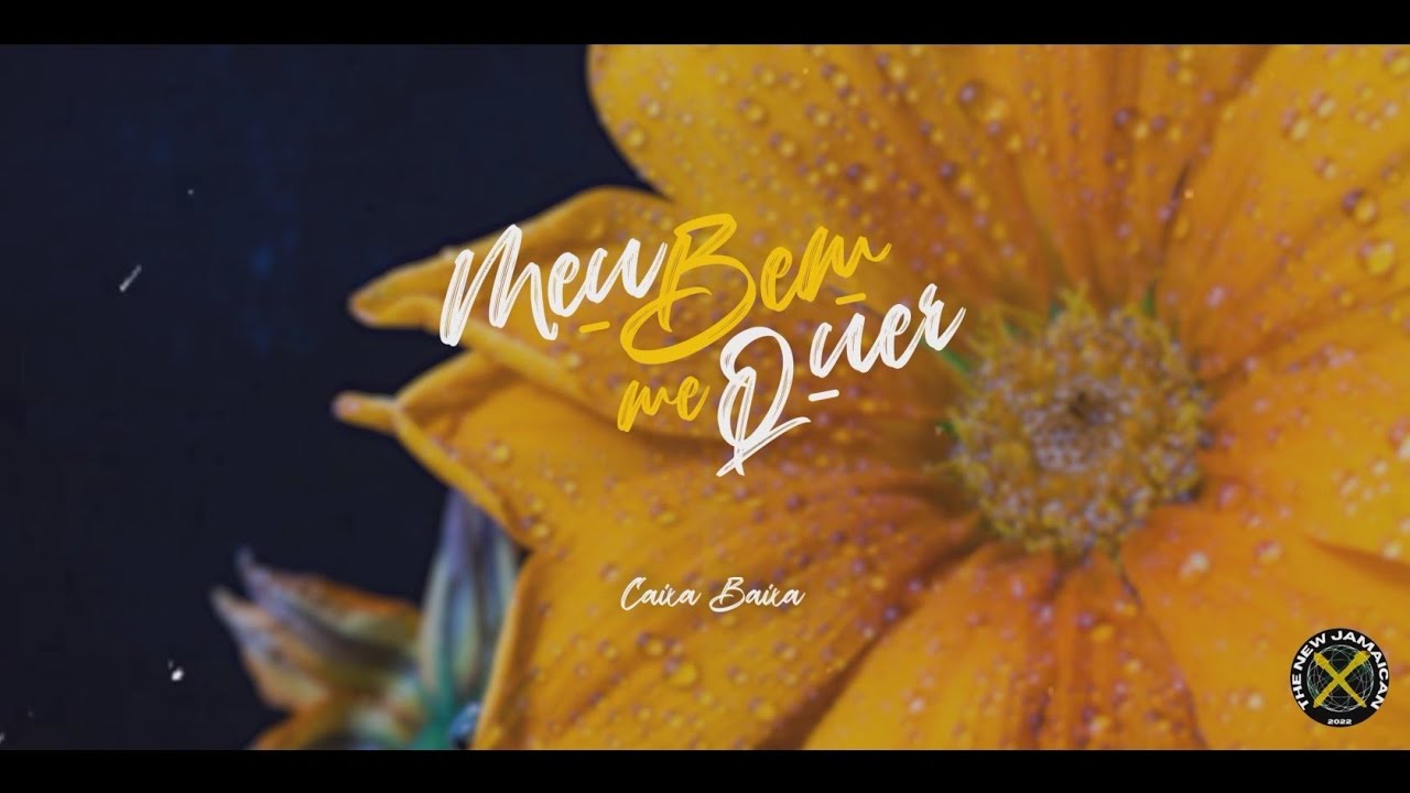 Caixa Baixa - Meu bem me quer