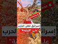 حصار وبوابات وكلاب حراسة استيطانية الزيتون الفلسطيني يواجه أخطر موسم في تاريخه 