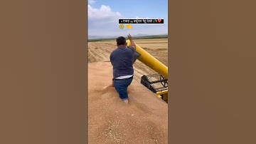 New Holland Harvester 😍 | King Combines & Farms UP94