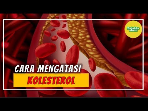 Video: Sådan Håndteres En Kolesterol Person