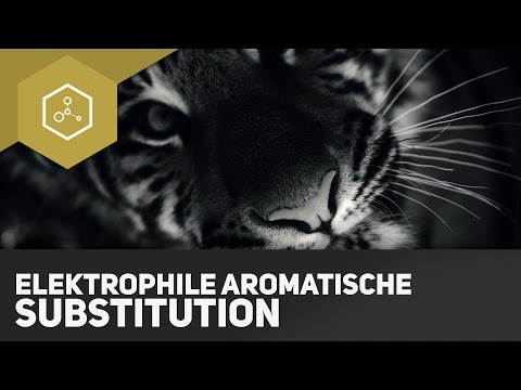 Elektrophile aromatische Substitution