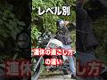 レベル別、連休の過ごし方の違い