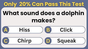 Put Your Knowledge to the Test! The Ultimate GK Quiz. #challenge #gk #gkquiz #trivia