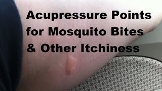 Acupressure points for mosquito bites to help reduce the itchiness how
pamper your partner from head toe
https://easycouplesmassage.com/getfreemassageg...