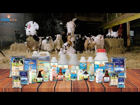 Animal Feed Supplement | Veterinary Products | Veterinary Medicine |  Manufacturer |