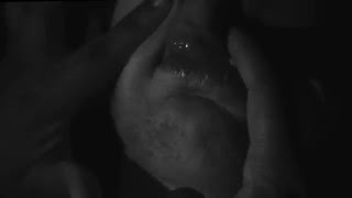 Space Bodies (2016)