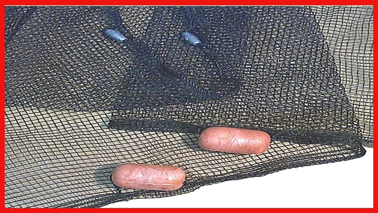 Frabill Minnow Seine .25-Inch Mesh (4 X 8-Feet), Black, One Size (2152)