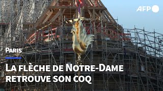 Notre-Dame retrouve son coq au sommet de sa flèche | AFP