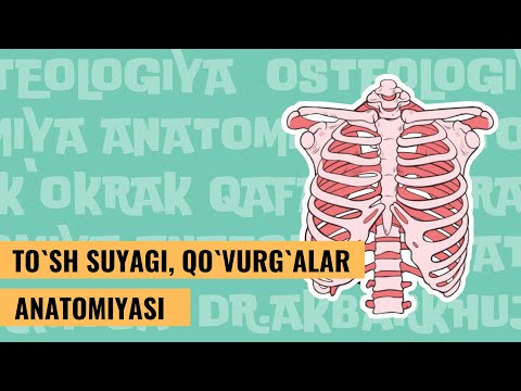 Video: Ferritin darajasini qanday oshirish mumkin: 11 qadam (rasmlar bilan)