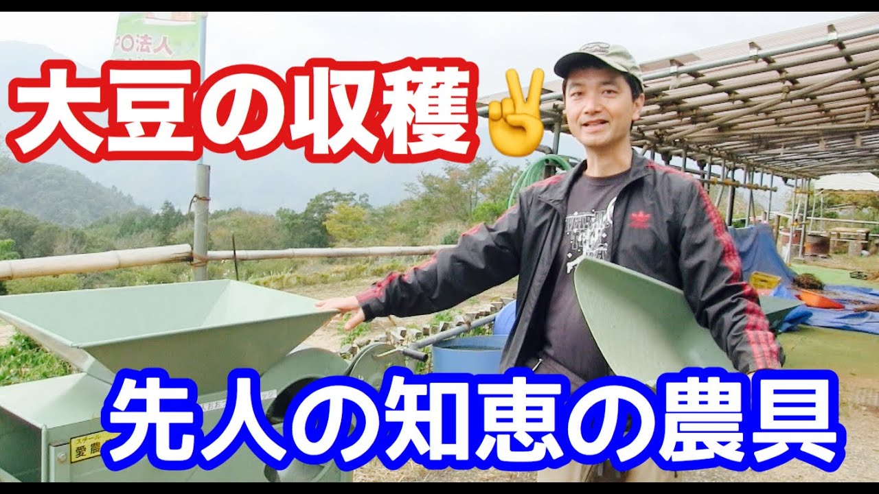 ガレージ整理。唐箕。豆の収穫後などに。 自然菜園】大豆の収穫と脱穀 足踏み脱穀機と唐箕の使い方 - YouTube