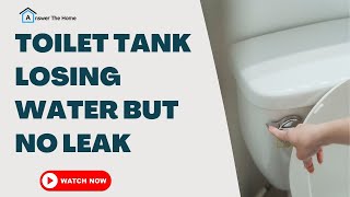 Famous Toilet Tank Losing Water But No Leak- Know How To Fix It ? Profile