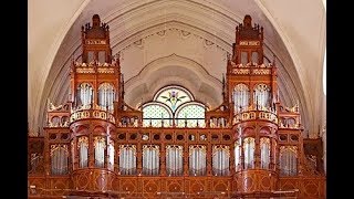 THE COLD SONG OF VIVALDI'S "WINTER" - XAVER VARNUS PLAYS ON ST. LADISLAUS' CHURCH ORGAN IN BUDAPEST chords