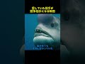 メスがオスに変わる魚、その理由が恐ろしい