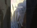 Lady Crashes Car Into Police Station!          #policepullover #2023 #patrol #officer